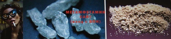 молекула духа Богданович