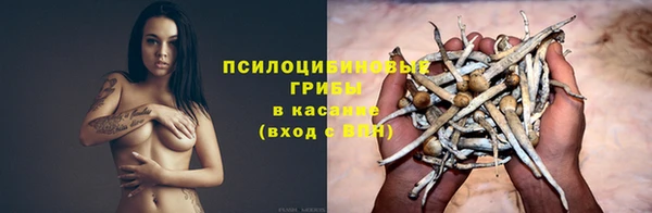 марки lsd Богородицк