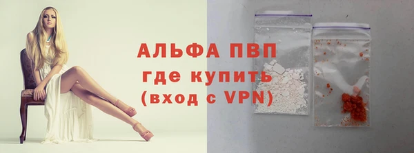 молекула духа Богданович