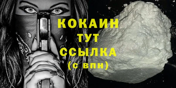 молекула духа Богданович