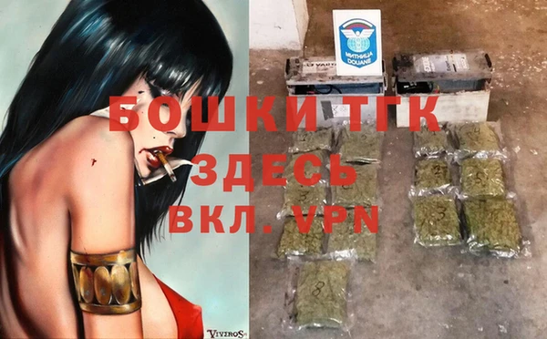 молекула духа Богданович
