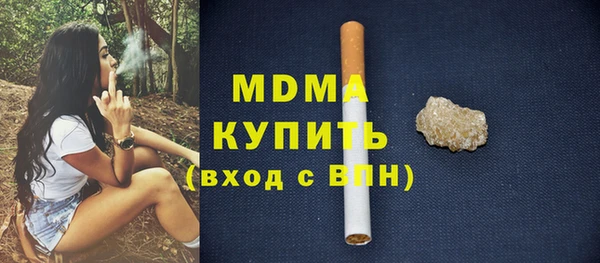 молекула духа Богданович