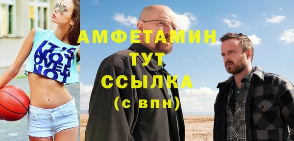 молекула духа Богданович