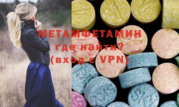 молекула духа Богданович