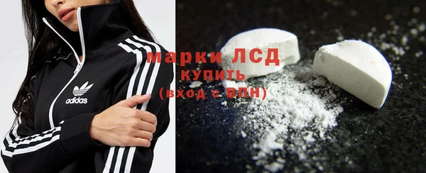 молекула духа Богданович