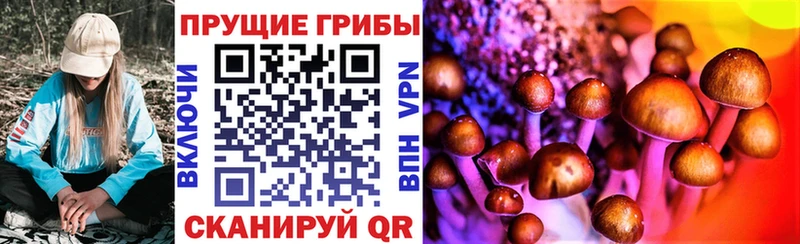 Псилоцибиновые грибы мицелий  закладка  Шумиха 